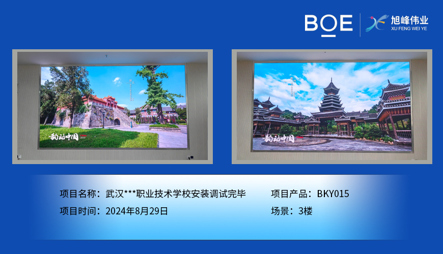 黃岡武漢***職業(yè)技術(shù)學校安裝調(diào)試完畢